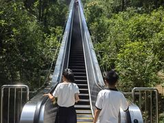 -千岛湖天屿景区