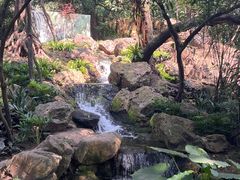 -广州兰圃