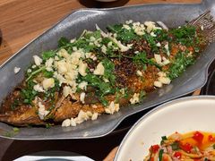 黔味炝锅鱼-树厨贵州菜(大十字店)