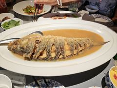 -阿庄新豫菜(通泰路店)