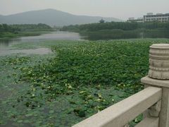 android_upload_pic-江南大学(蠡湖校区)