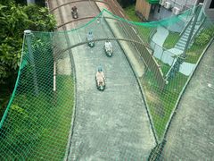 -圣淘沙天际线斜坡滑车