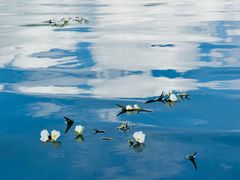 -丽江泸沽湖景区