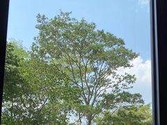 -M Stand(深圳龙岗万科广场店)