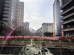 -上海电影博物馆