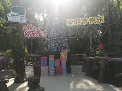 -绿光森林餐厅