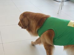 -怪兽屋·羊驼·猫咖·狗咖(俊华广场店)
