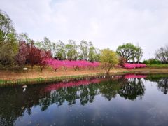 -大望京公园