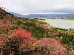 -十三陵水库