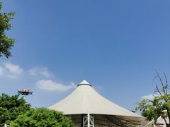 -史努比缤纷世界