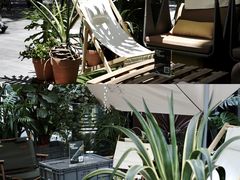 -PlantsEatery·植物食堂(REX春熙店)