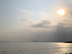 -深圳湾公园(南山区)
