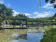-中国科学院西双版纳热带植物园