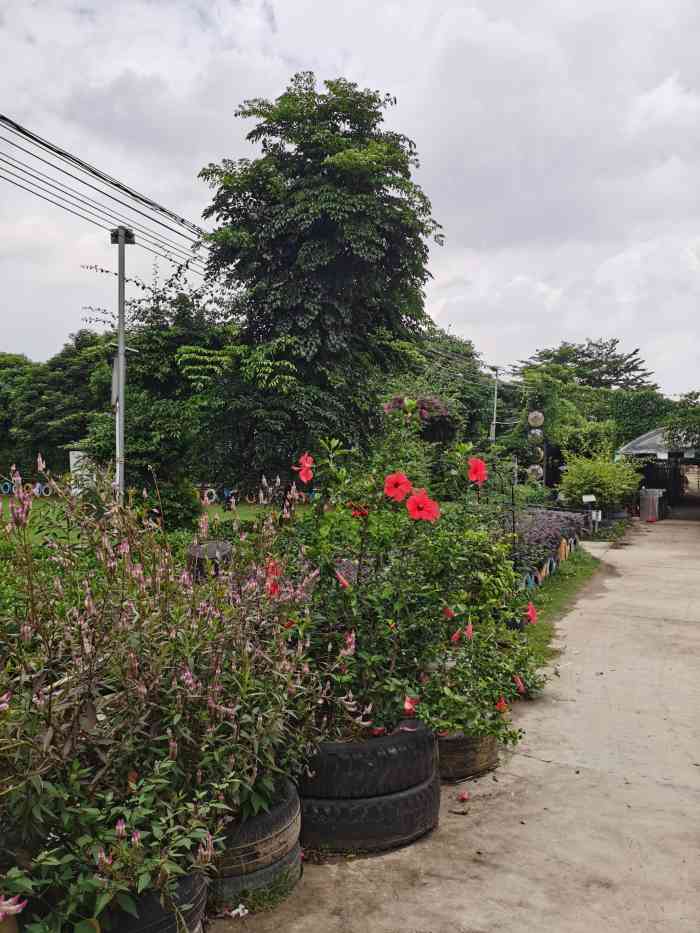 乐祈农场(番禺店)-"【位置】在番禺大道北,交通还是挺方便的,..."-大