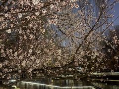 -安定门(地铁站)