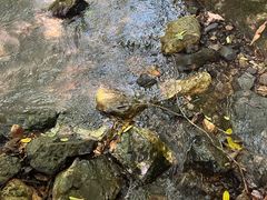 -夏霖九天银瀑风景区