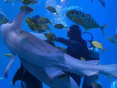 -太平洋海底世界