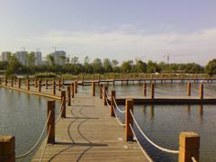 景点-南湖湿地公园