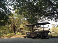 -森波拉火山温泉