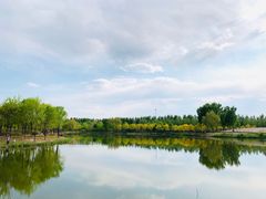 -东郊湿地公园