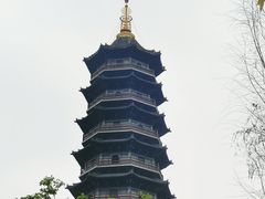 -重庆园博园