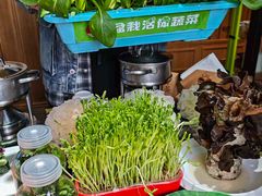 -番食园鲜食火锅(高新店)