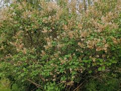 -长春公园(普阳街道)