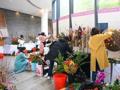 -合肥滨湖国家森林公园