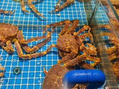 -连鹭海鲜·海肠捞饭·海胆饭(星海店)