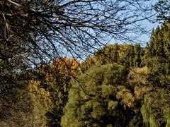 -长白岛森林公园