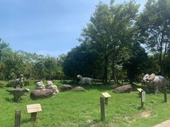 -上海海湾国家森林公园