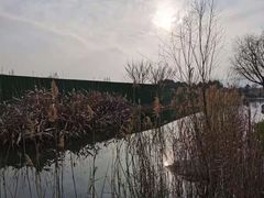 -长田漾湿地公园