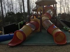 -合肥滨湖国家森林公园