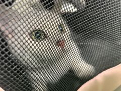 -佳怡动物医院·平价24小时·猫专科骨外科