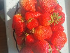 -花果山生鲜超市(浑河湾店)