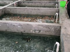 -阔澜蒸汽海鲜自助