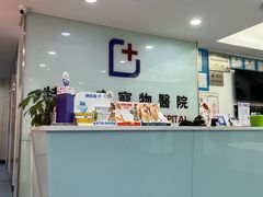 -特一安24小时宠物医院·骨科·中兽医