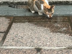 -世界之窗阿尔卑斯冰雪世界