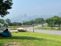 -小麦岛公园