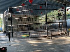 -广东茂名森林公园