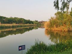 -白鹭湾湿地公园