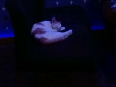 -星宿秘码(鼓浪屿老店)