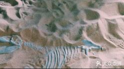 -恐龙探索乐园(磁器口店)