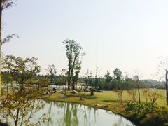 -瑶湖郊野森林公园