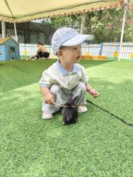 点击看大图 -萌宠亲子动物乐园(槐房万达店)