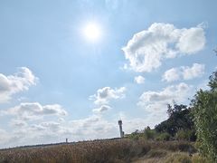 -上海吴淞炮台湾国家湿地公园