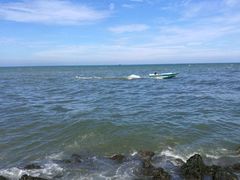 -尼甘布海鲜市场