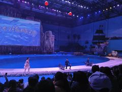 -华夏文旅海洋公园