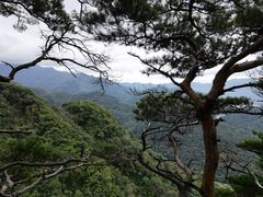 -关门山森林公园