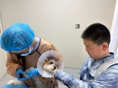 -达爱动物医院·犬猫分区·CT·复杂眼科(远洋山水分院)